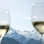 Annika Summer Card Included Apartment Zell am See