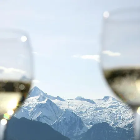 Annika Summer Card Included Apartment Zell am See