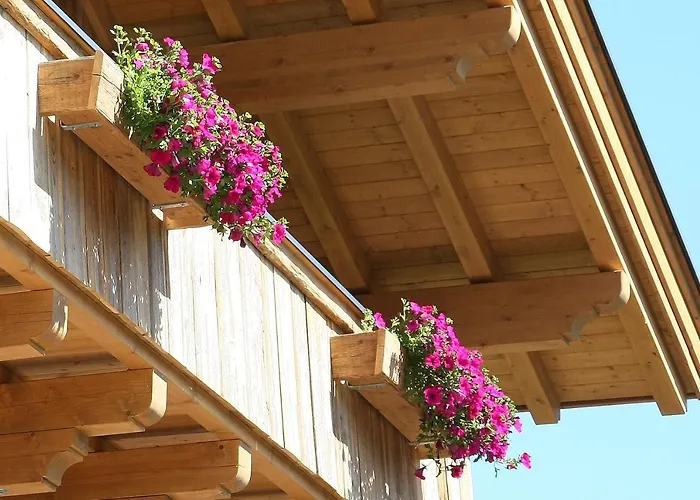 Annika Summer Card Included * زيل أم سي