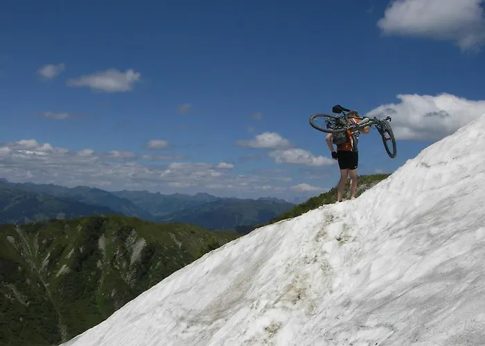 Lejlighed Annika Summer Card Included Zell am See