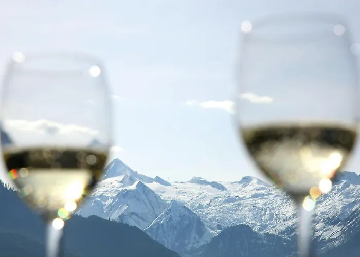 Annika Summer Card Included Apartmán Zell am See